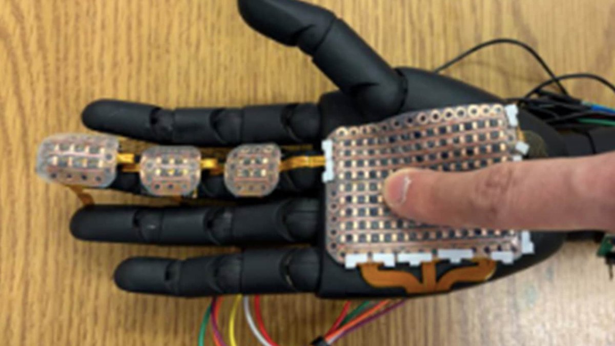 Prosthetic Skin Detects Heat and Pressure - prosthetic skin