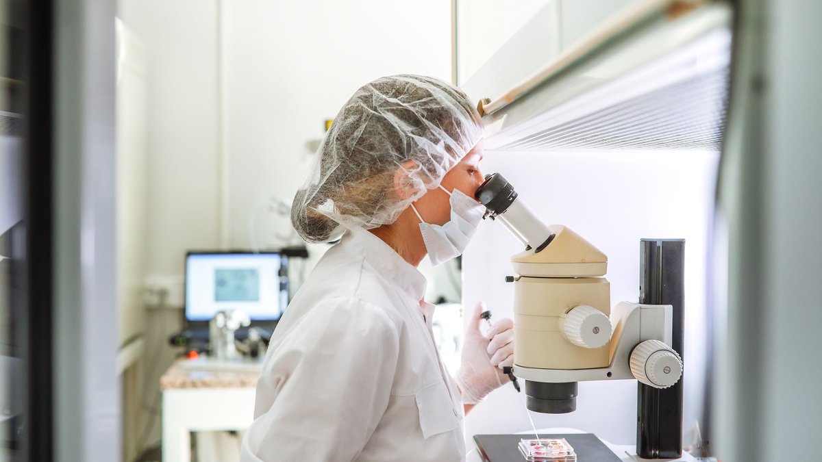 Rising IVF Costs Send Americans Abroad for Treatment - ivf abroad