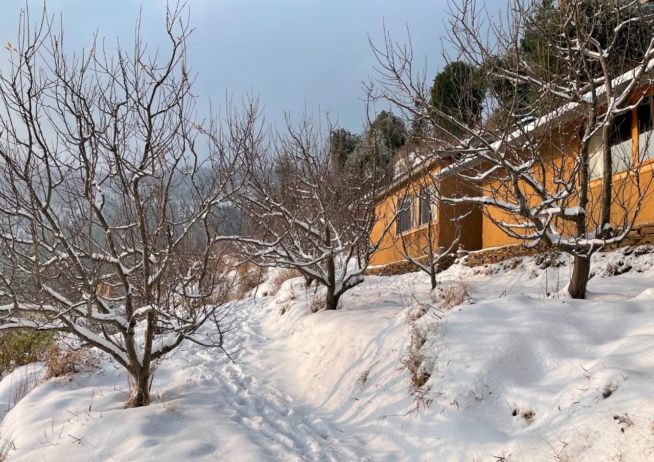 Snow experiences, subject to weather
