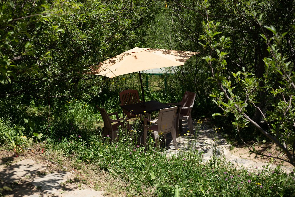 Family Play Areas 6