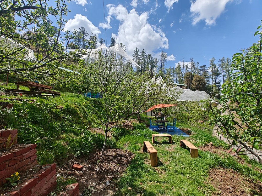 Hotel And Grounds 4