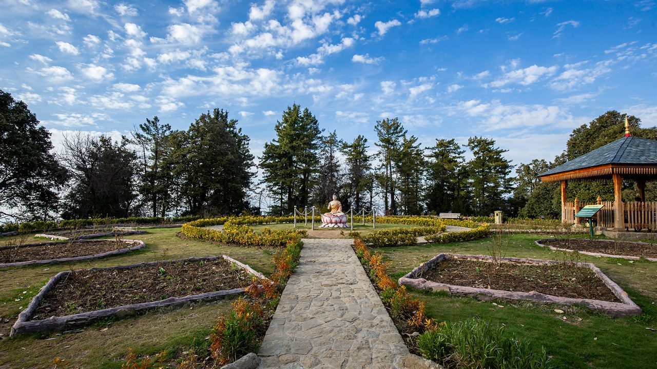 Explore Nearby Attractions