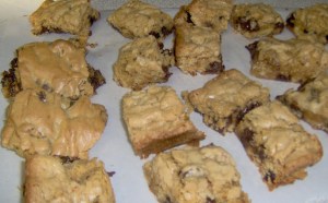 Chocolate Chip Blondies