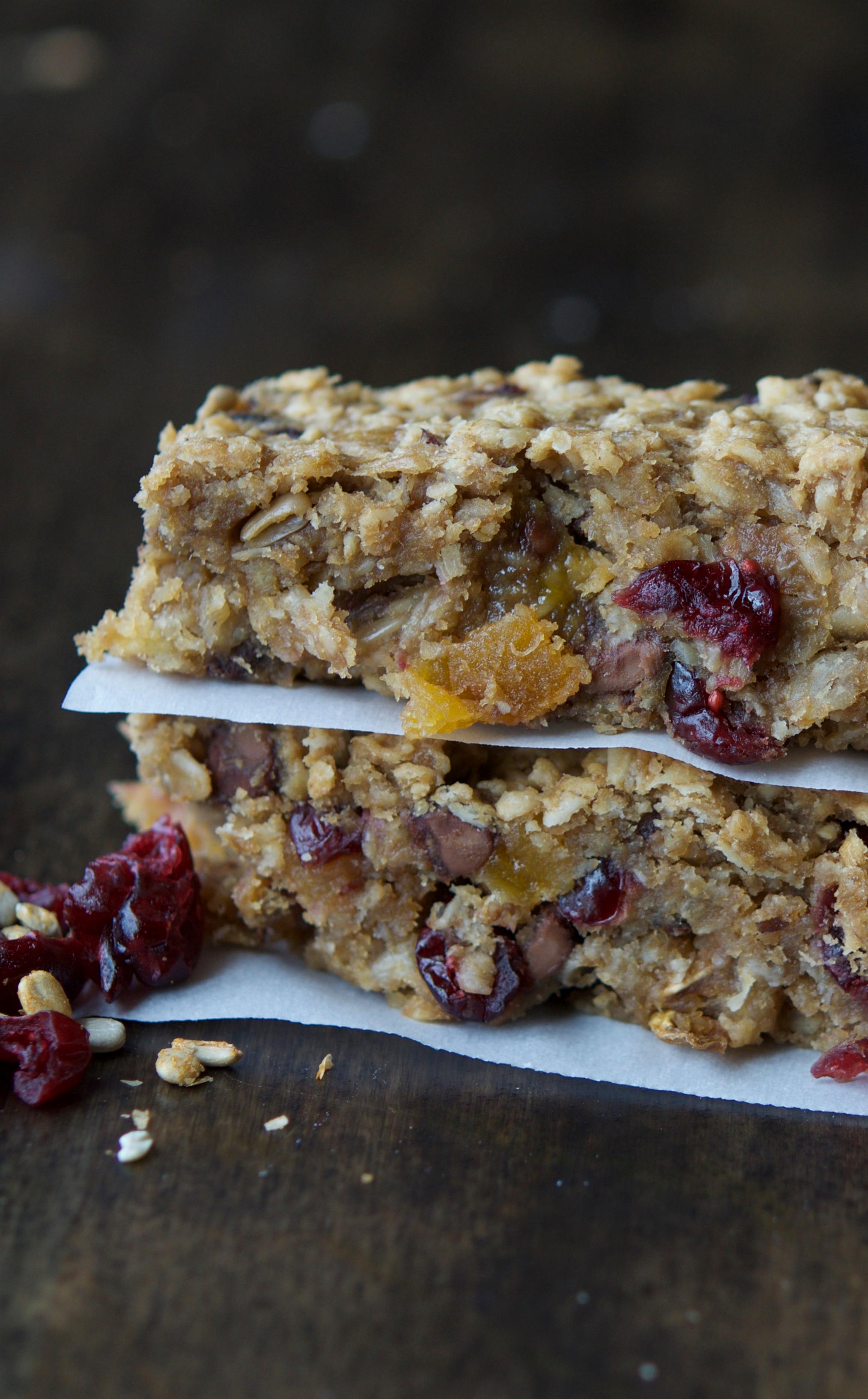 Gluten Free Dairy Free Nut Free Granola Bars | Once A Month Meals