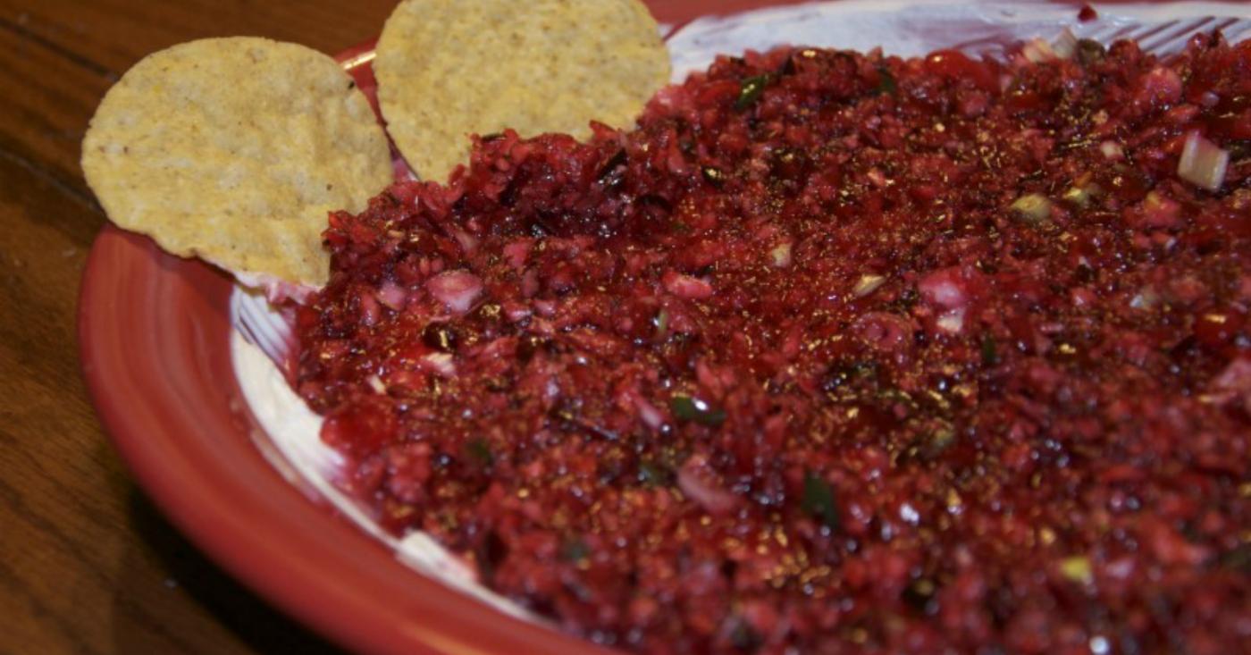 Cranberry Salsa Dip | Once A Month Meals