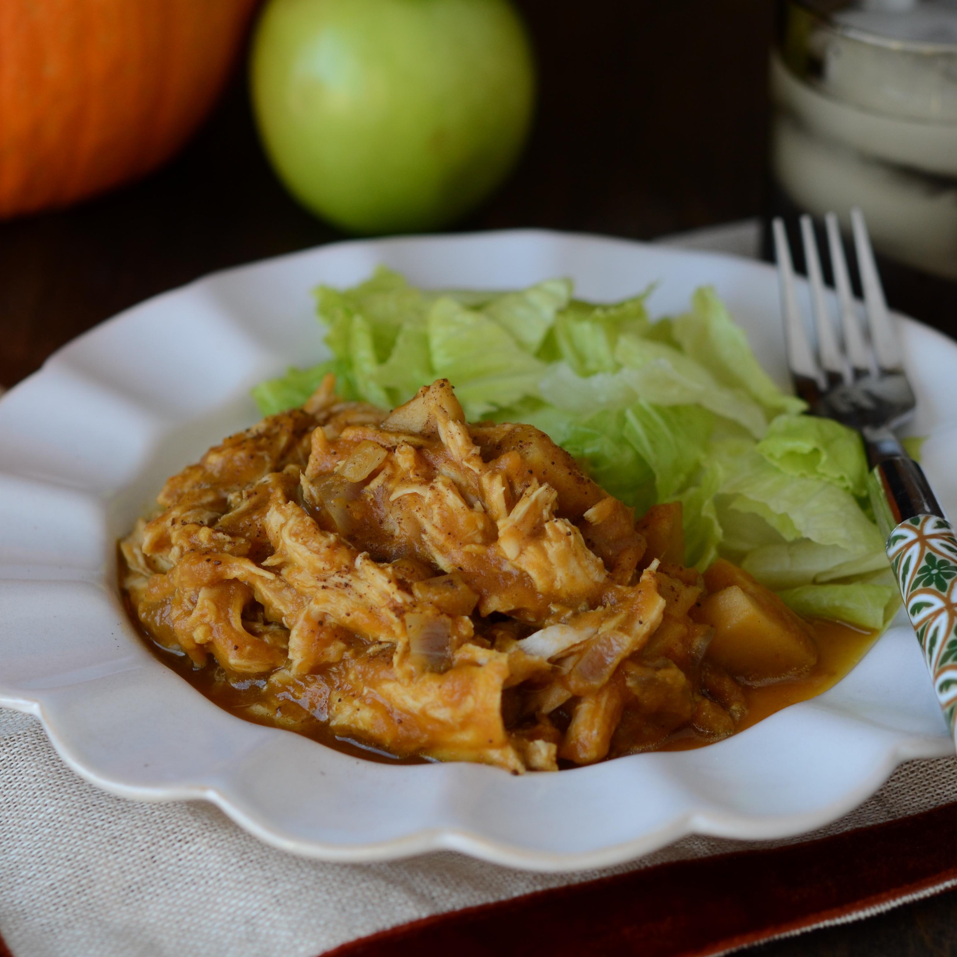 Instant Pot Diet Pork and Pumpkin Dump and Go Dinner Once A Month Meals