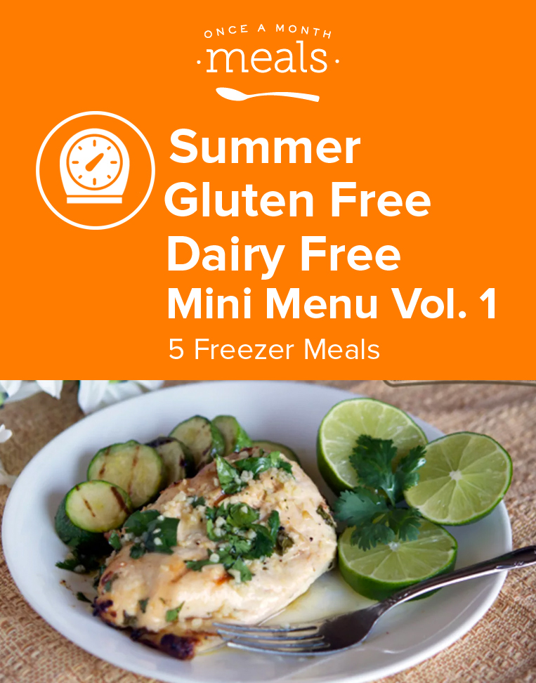 Summer Gluten Free Dairy Free Mini Freezer Meal Plan Vol. 1 Once A