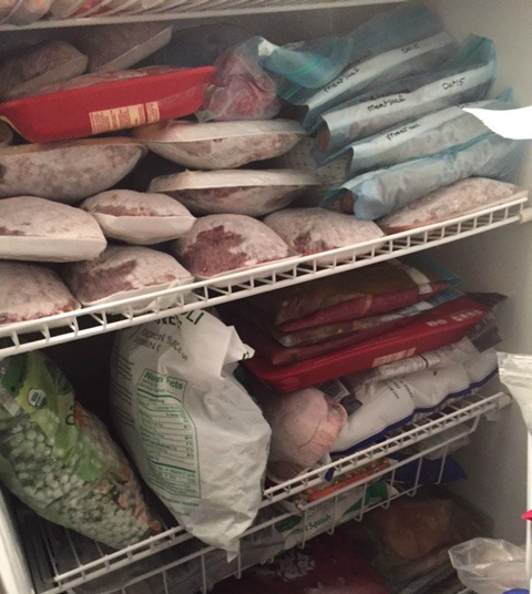 OAMM Member Freezer - Toni