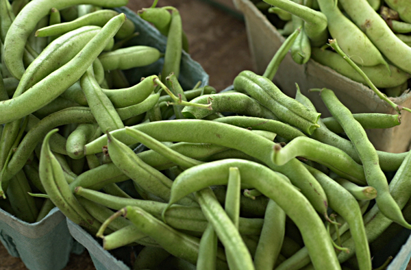 sliced diced green beans