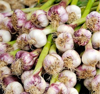 Make your own minced garlic