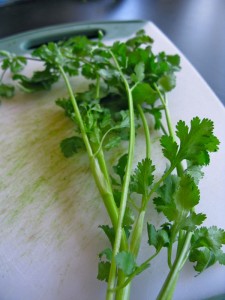 sliced diced fresh herbs cilantro equivalents