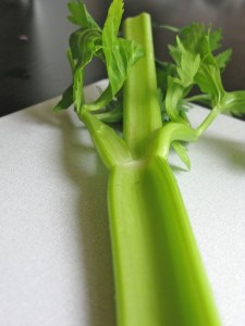 sliced diced celery equivalents