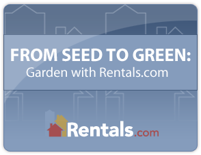 Garden with Rentals.com