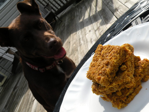 banana pumpkin dog treats