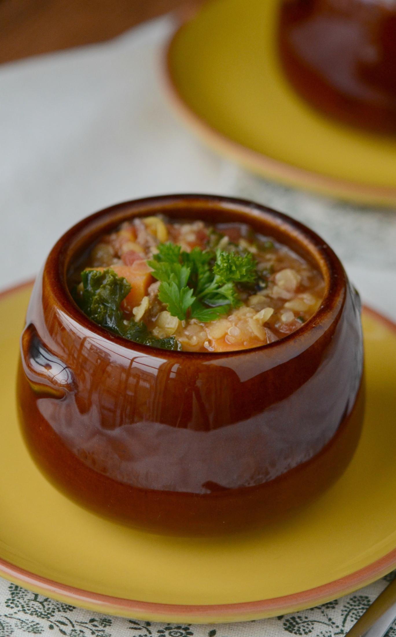 Instant Pot Red Lentil and Quinoa Stew Lunch Once A Month Meals