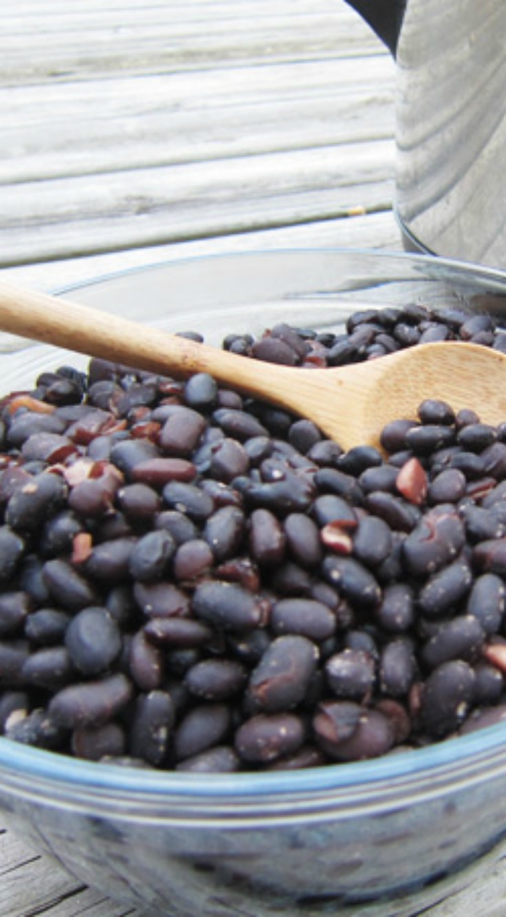 Slow Cooked Black Beans Once A Month Meals