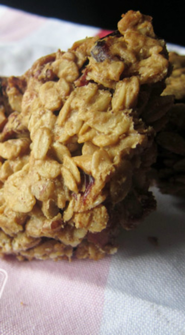 Cranberry Nut Protein Bars Once A Month Meals
