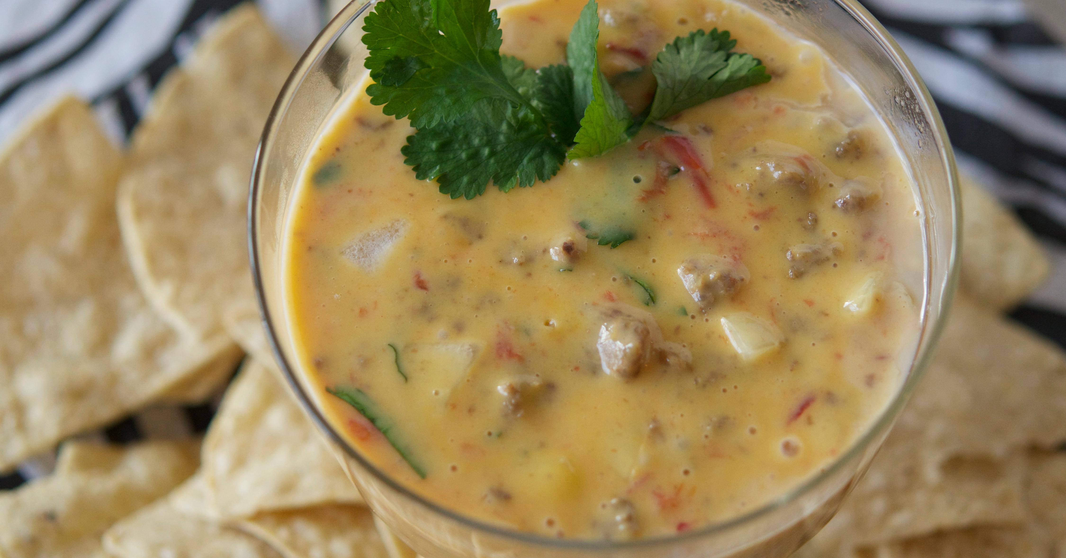 Instant Pot Rotel Queso Dip Once A Month Meals