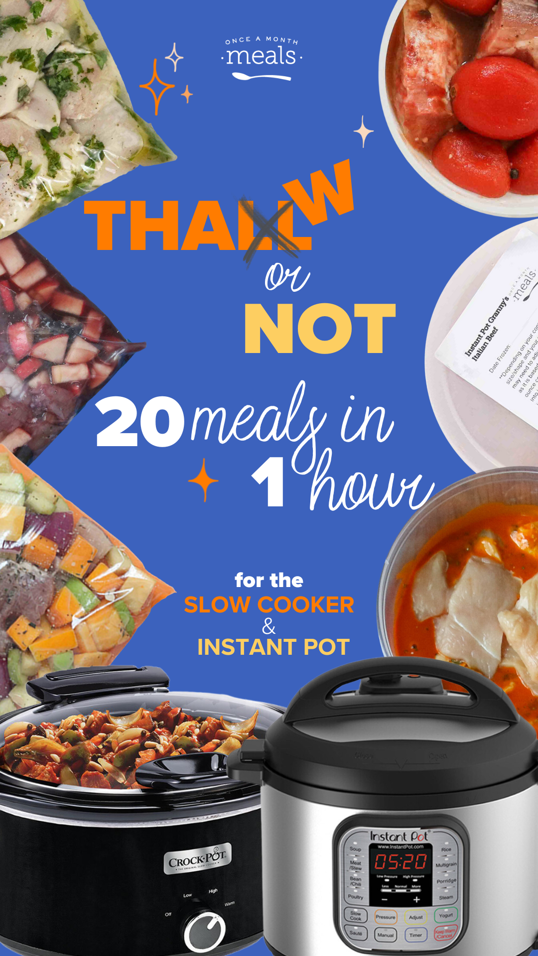 Thaw or Not Instant Pot Dump and Go Mini Freezer Meal Plan Once A