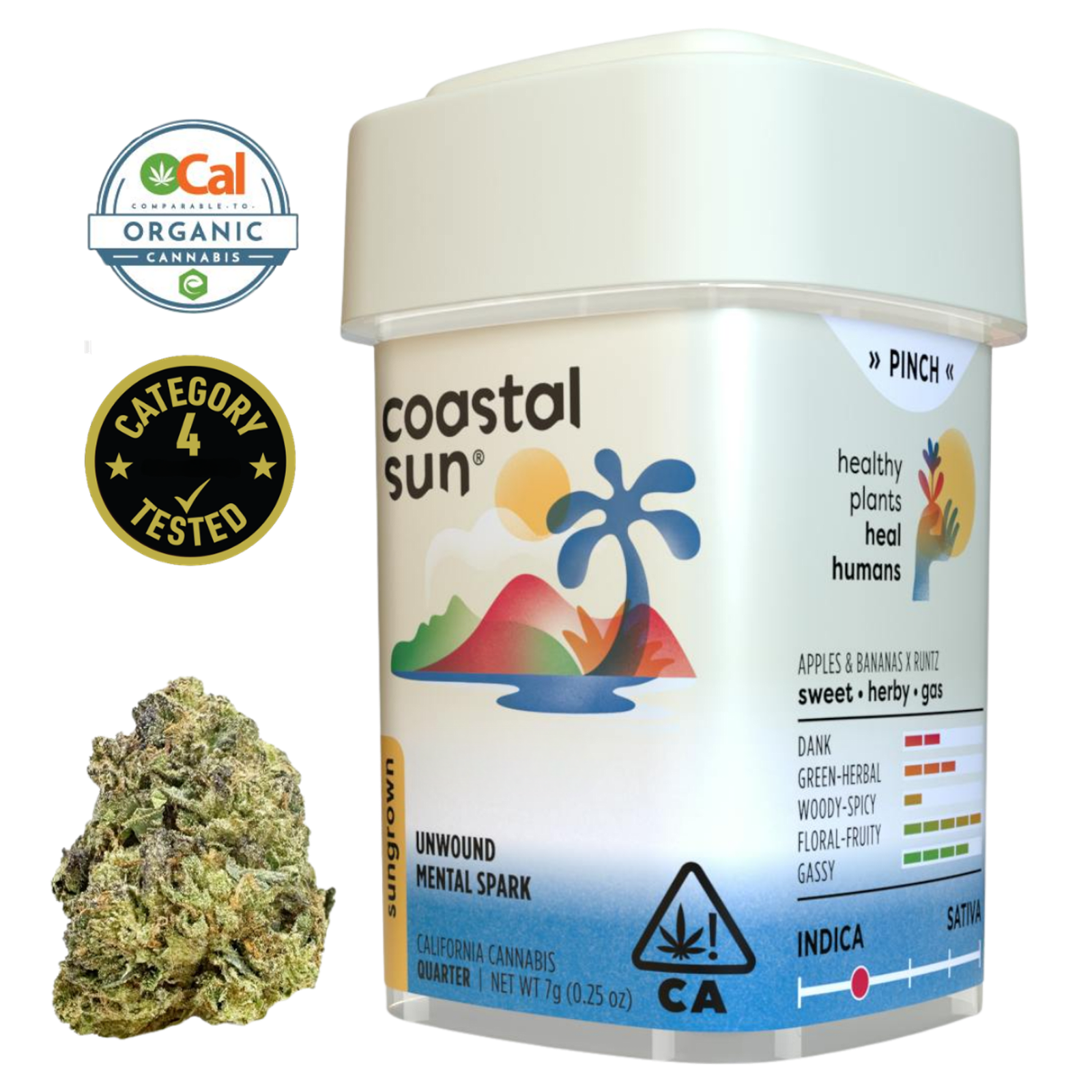Permanent Marker (I) | 7g Sun Grown Flower | Coastal Sun