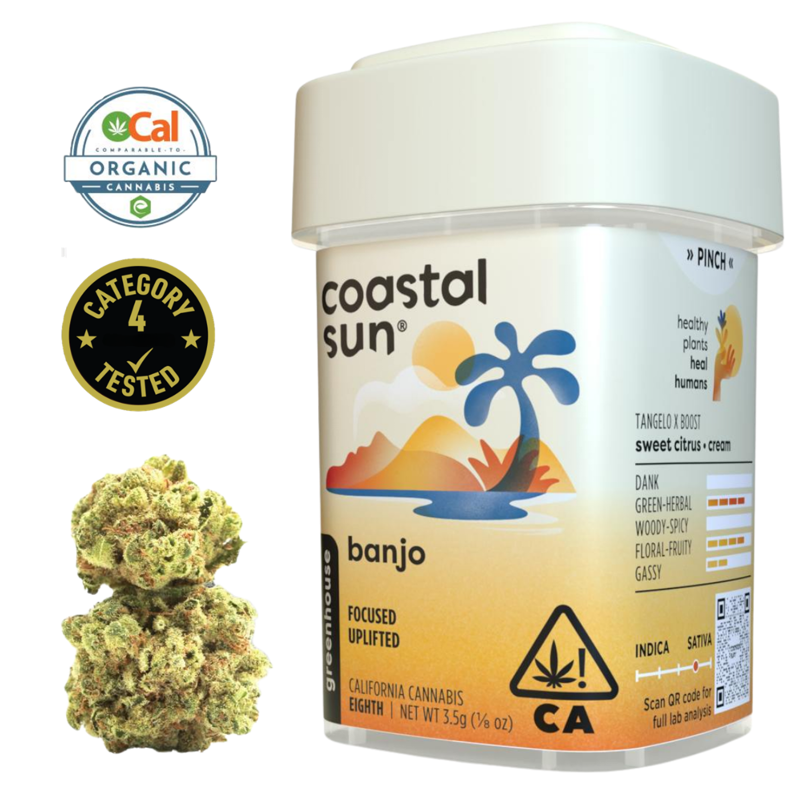 Banjo (S) | 3.5g Greenhouse Flower | Coastal Sun