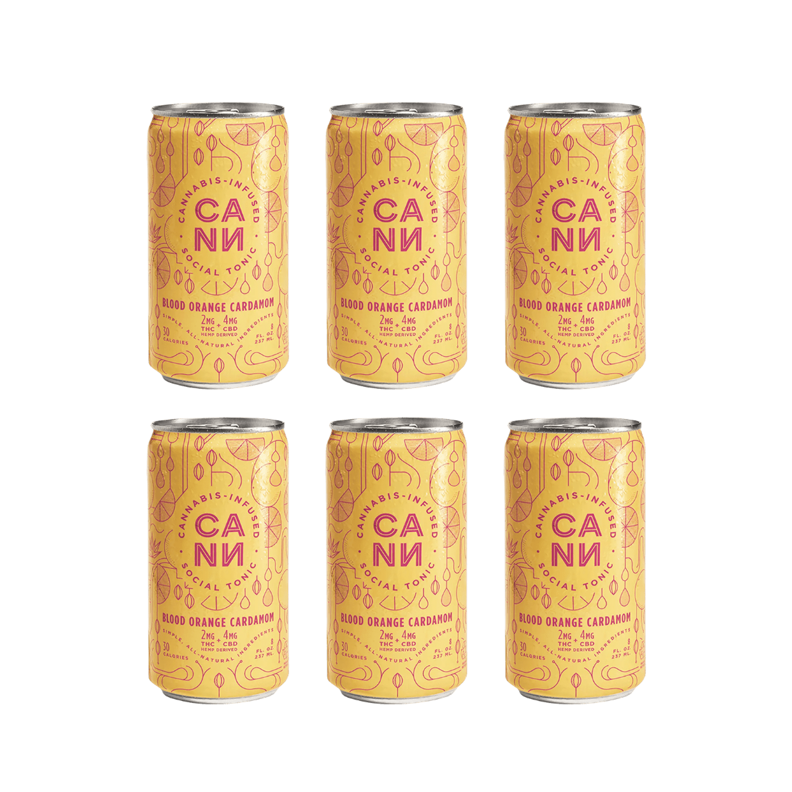 Blood Orange Cardamom | 8oz (6pk) 2:4 THC:CBD Social Tonic Beverage | Cann Social Tonic - view 2