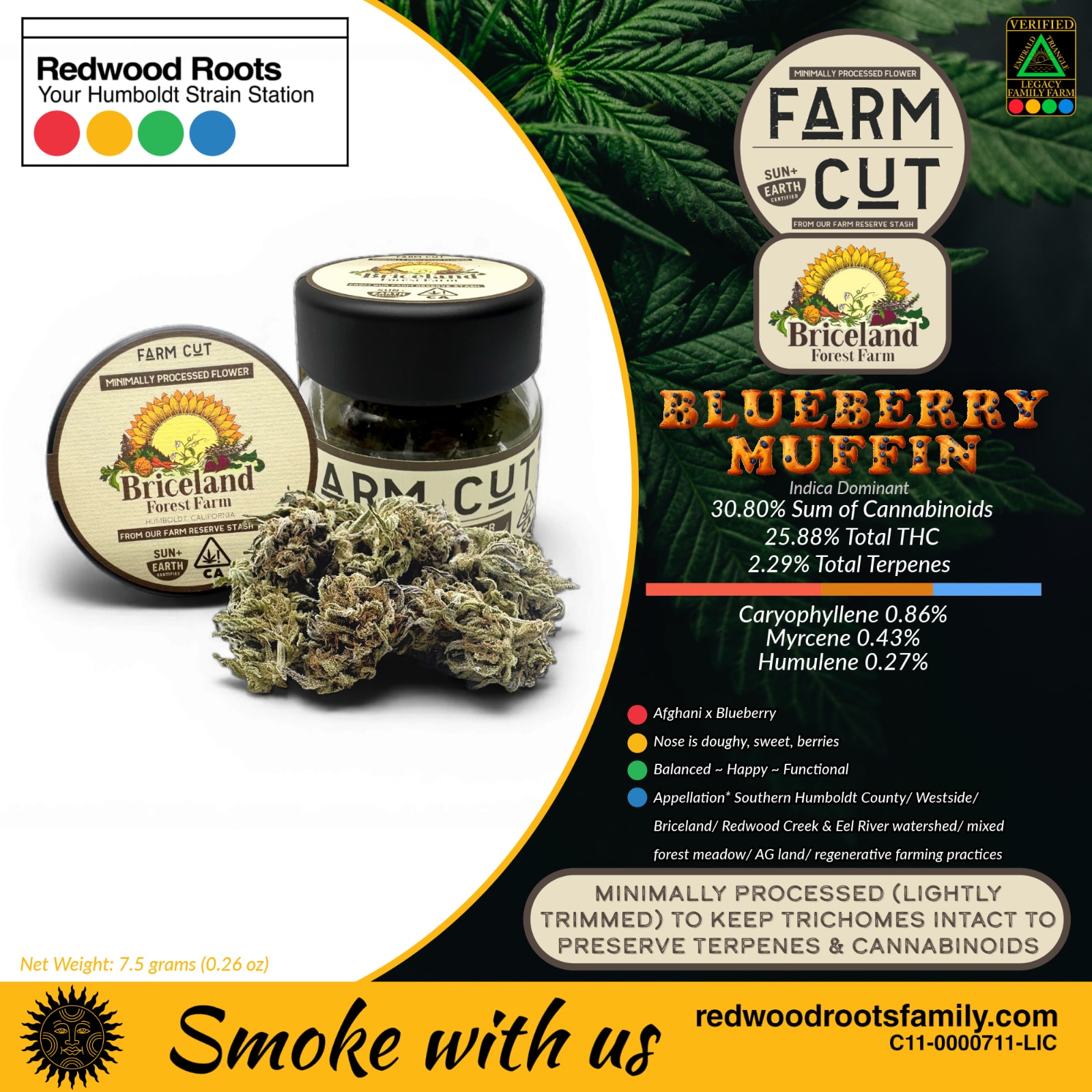Blueberry Muffin (I) | 7g Sungrown Flower | Briceland Forest Farm - view 2