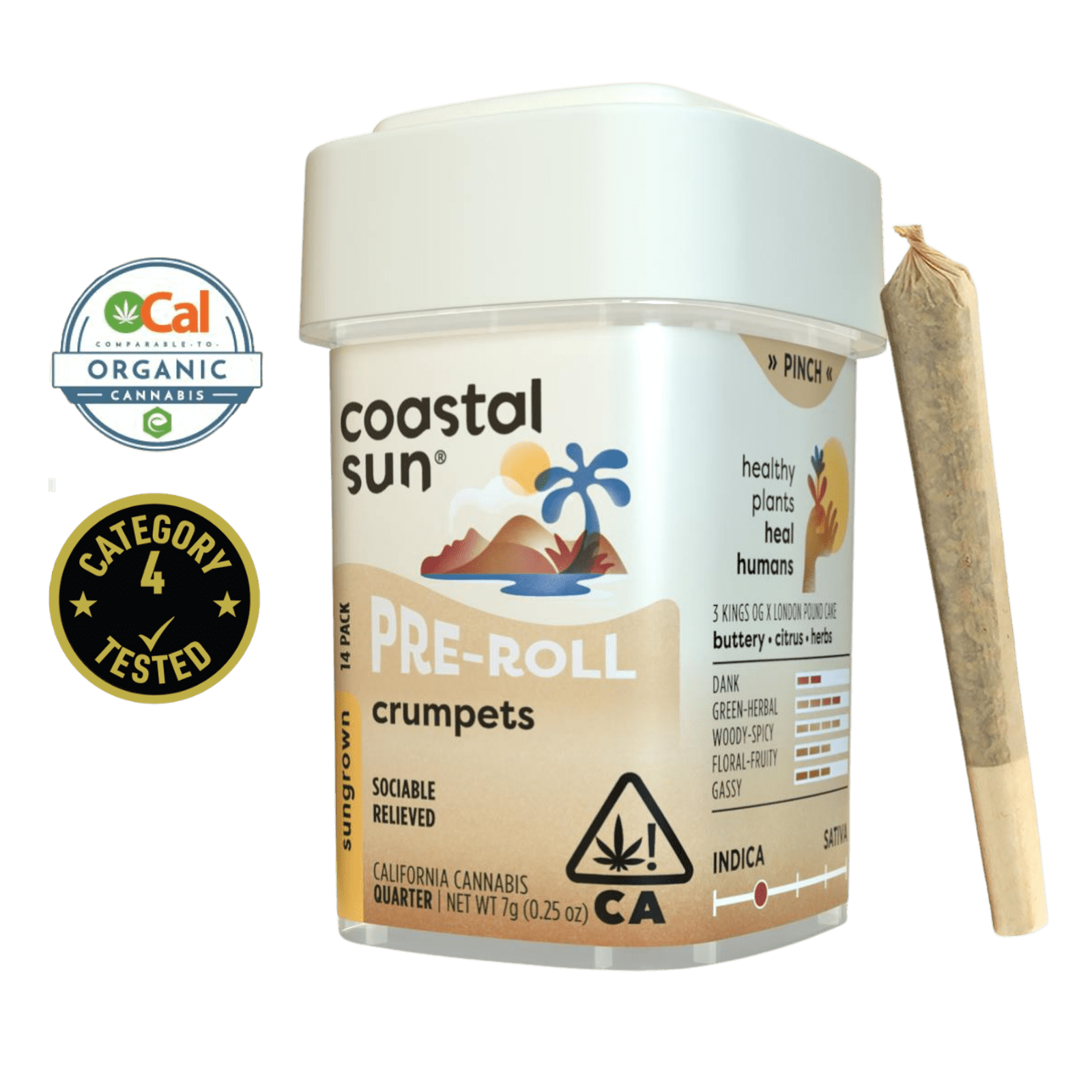 Crumpets (I) | .5g 14pk Sun Grown Preroll | Coastal Sun
