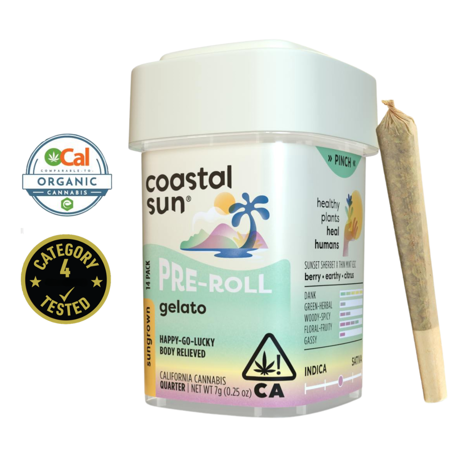 Gelato (H) | .5g 14pk Sun Grown Preroll | Coastal Sun