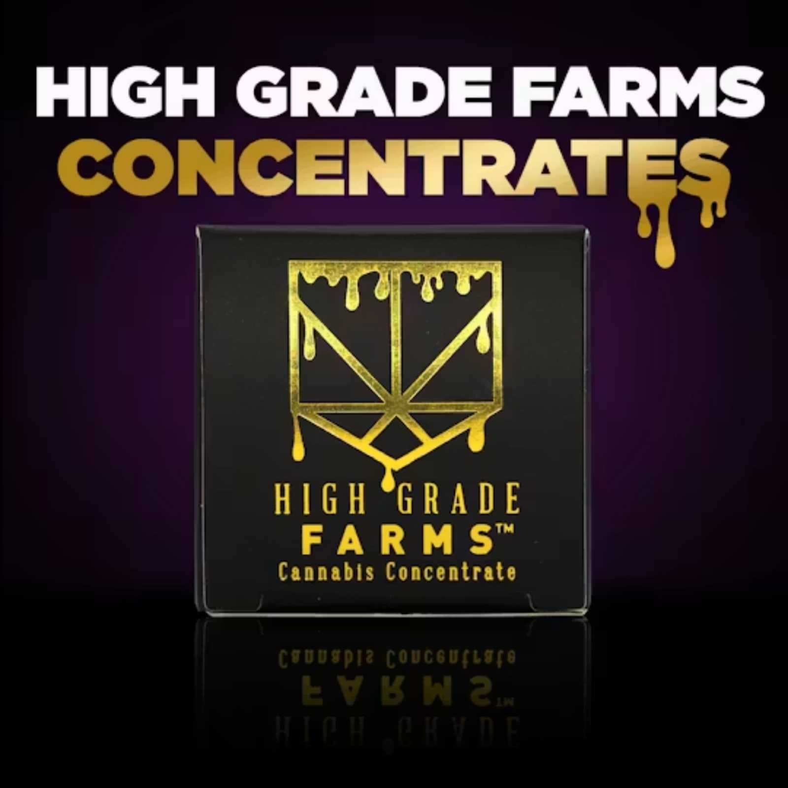 Platinum Donny (H) | 1g Dab Sauce Concentrate | High Grade Farms
