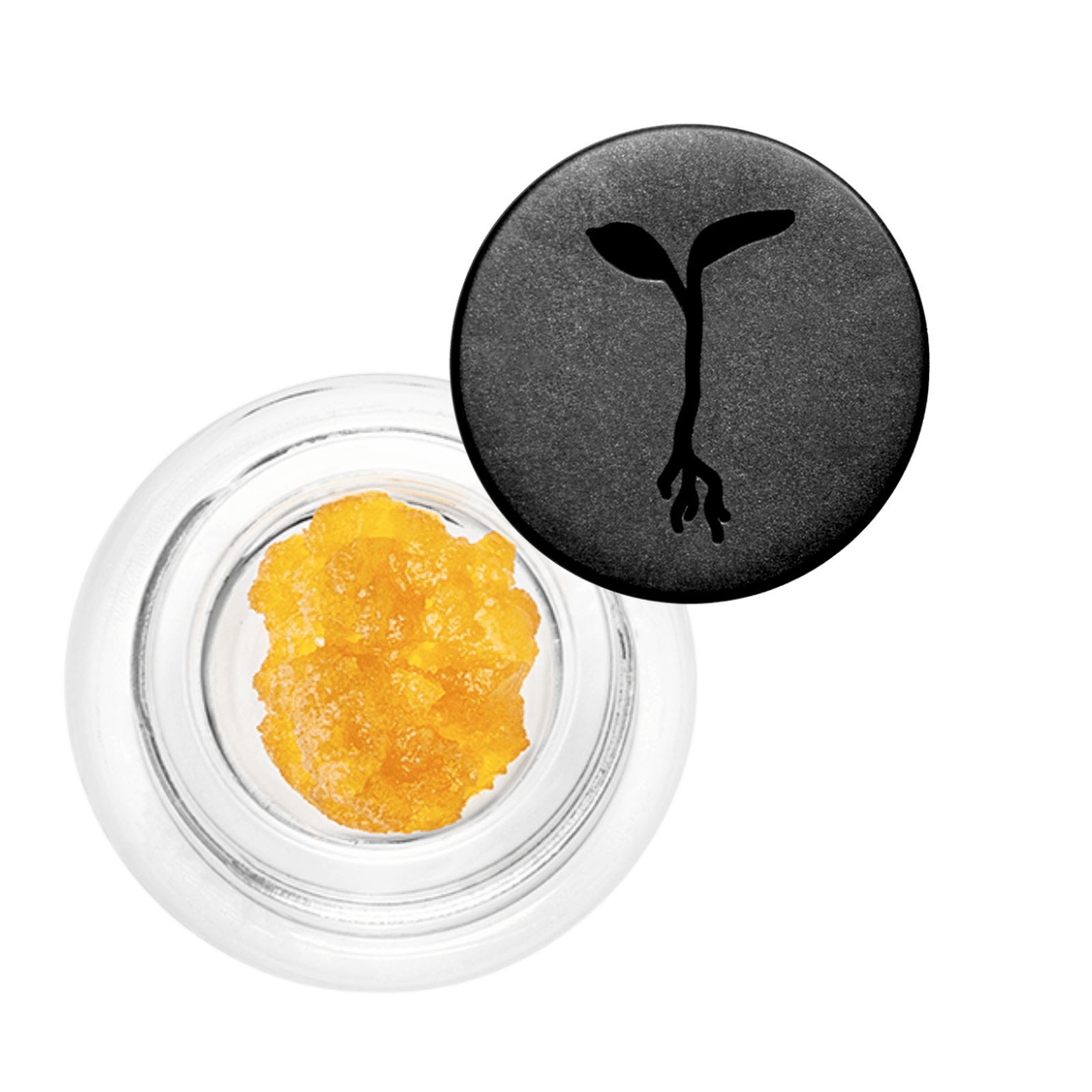 Hella Jelly (H) | 1g Live Badder Concentrate | Raw Garden