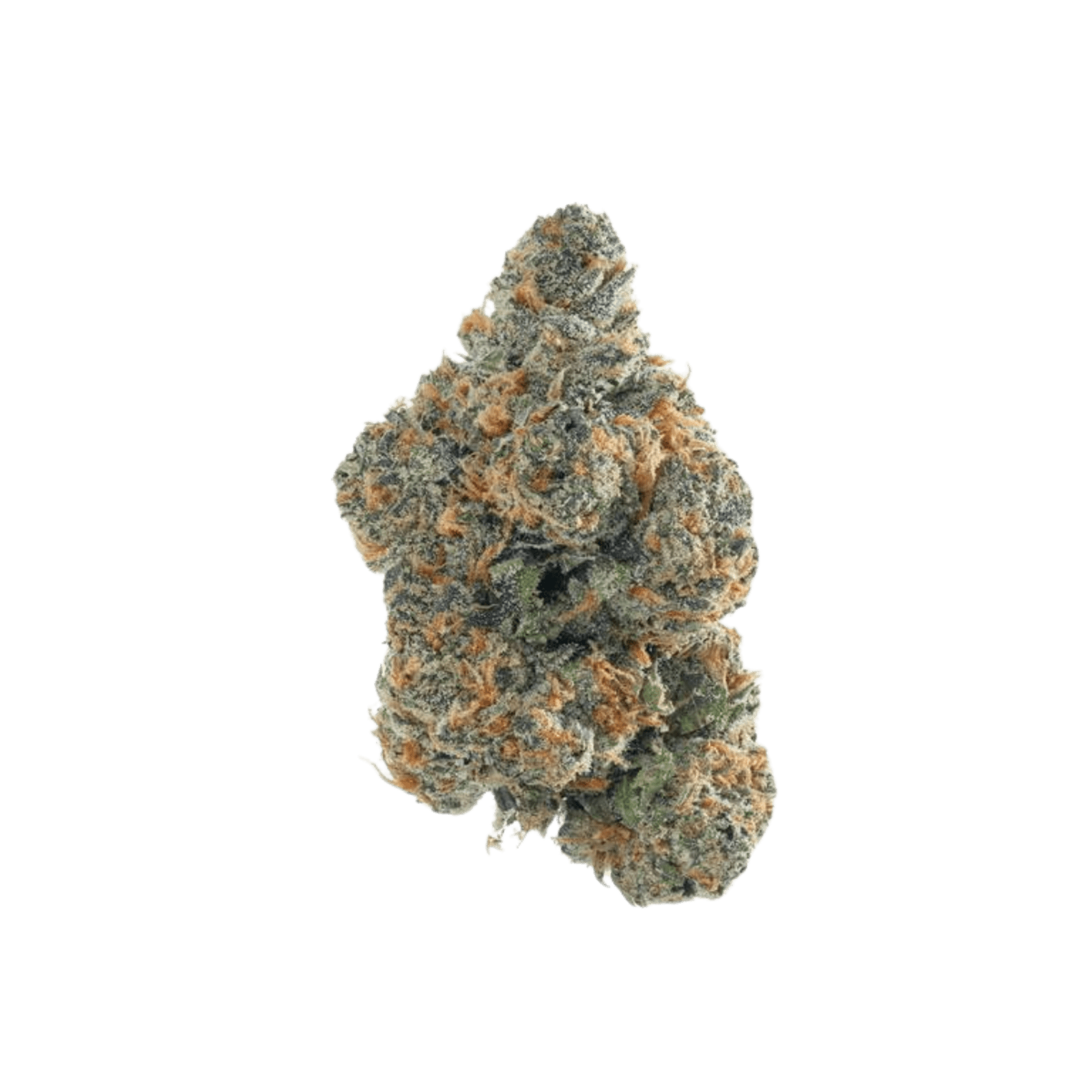 Lulu Lemon (H) | 3.5g Jar Indoor Flower | Preferred Gardens - view 2