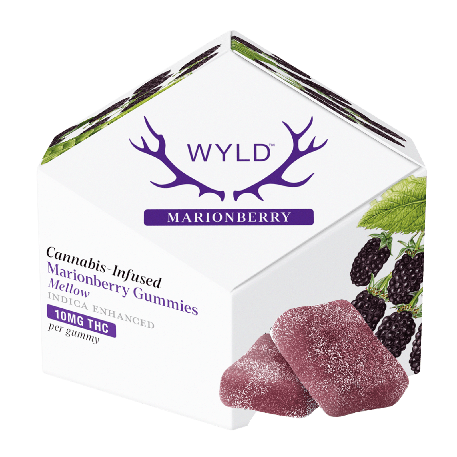 Marionberry (I) | 10mg THC 10Pk Gummies | Wyld