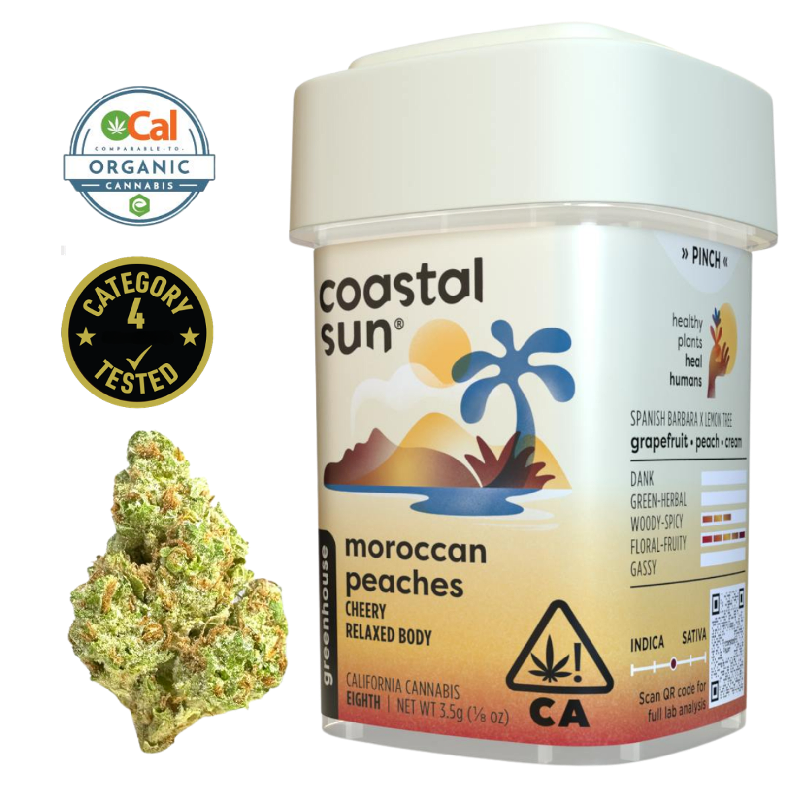 Moroccan Peaches (H) | 3.5g Greenhouse Flower | Coastal Sun