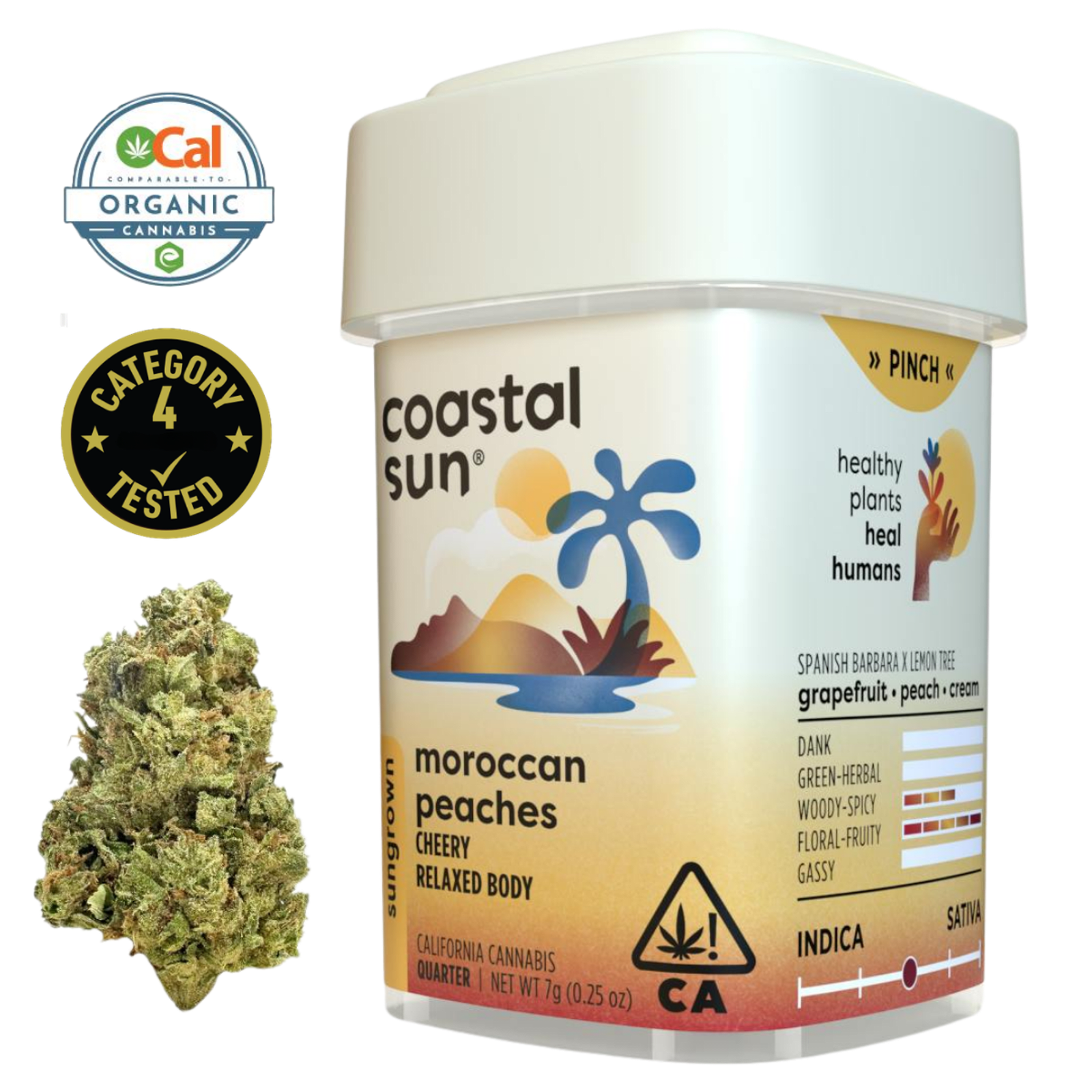Moroccan Peaches (H) | 7g Sun Grown Flower | Coastal Sun