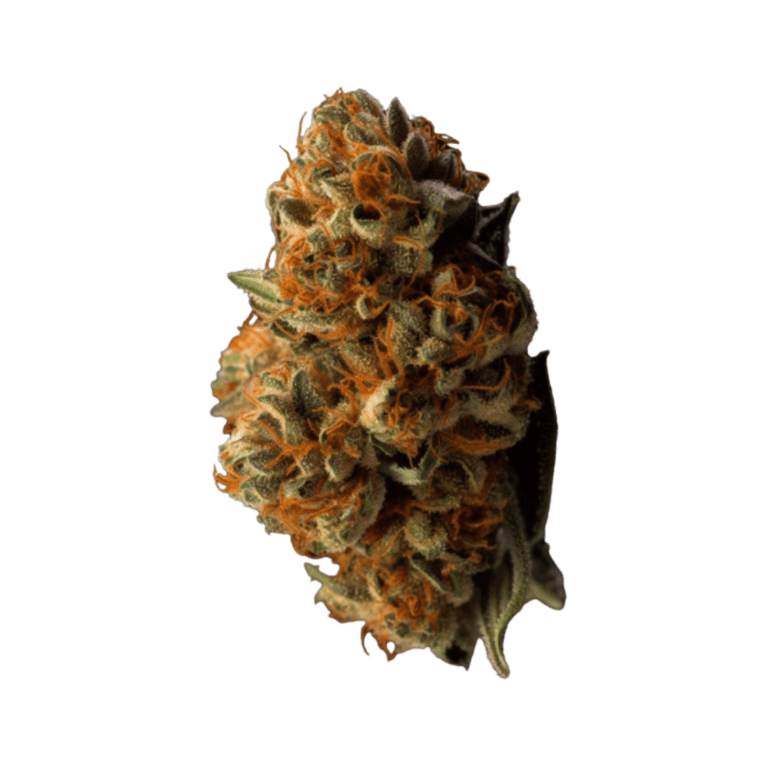Orange Sunset (S) | 7g Infused 40s Mylar Indoor Flower | Stiiizy - view 2