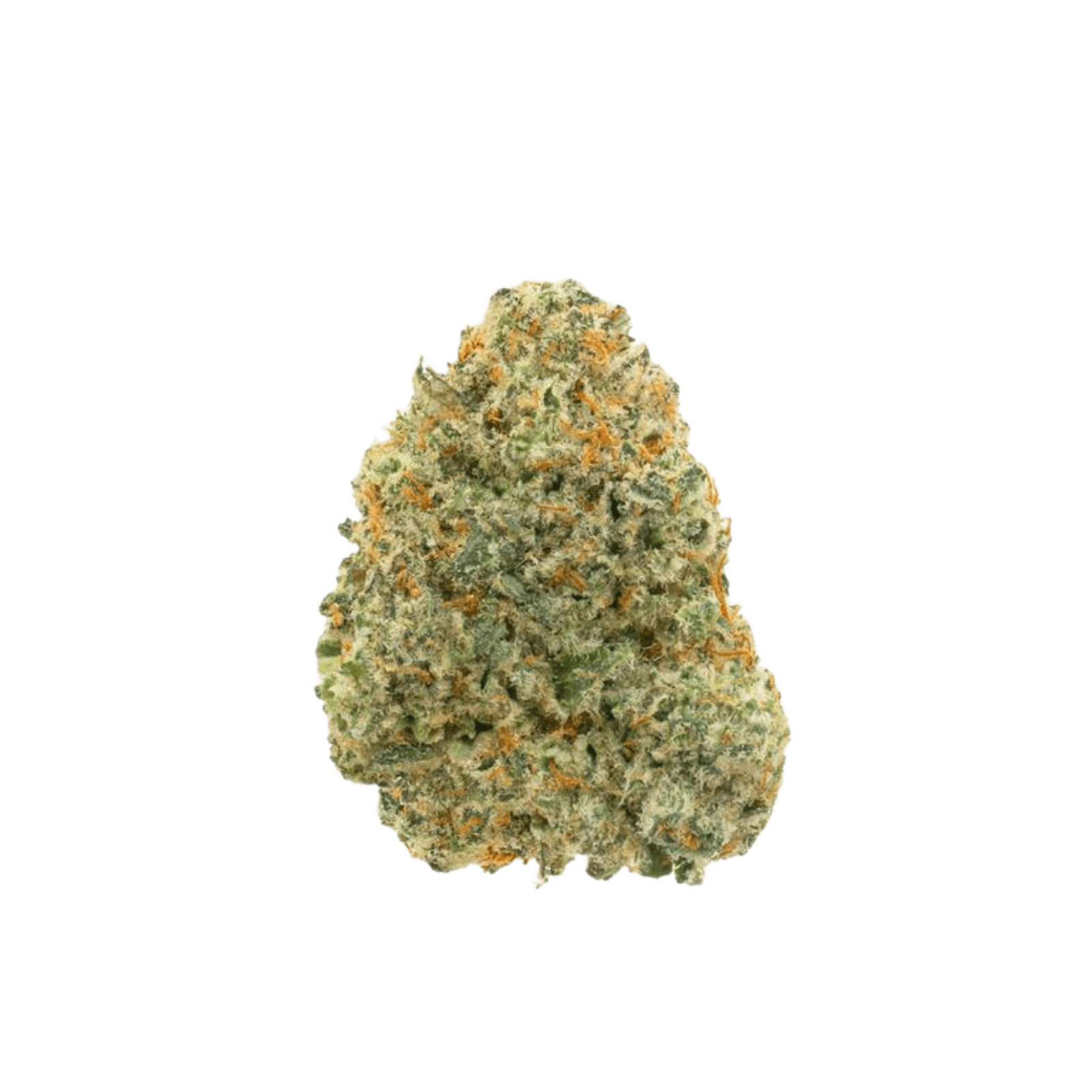 Sidebanger (H) | 3.5g Jar Indoor Flower | Preferred Gardens - view 2