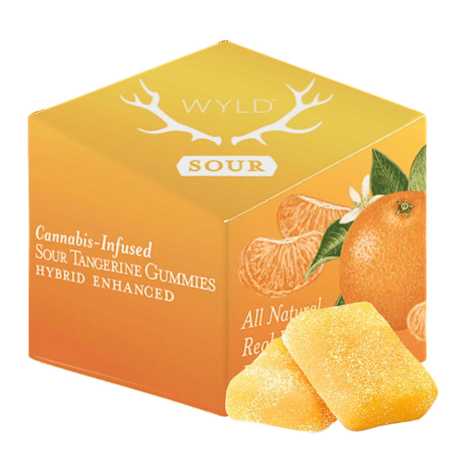 Sour Tangerine (H) | 10mg THC 10Pk Gummies | Wyld