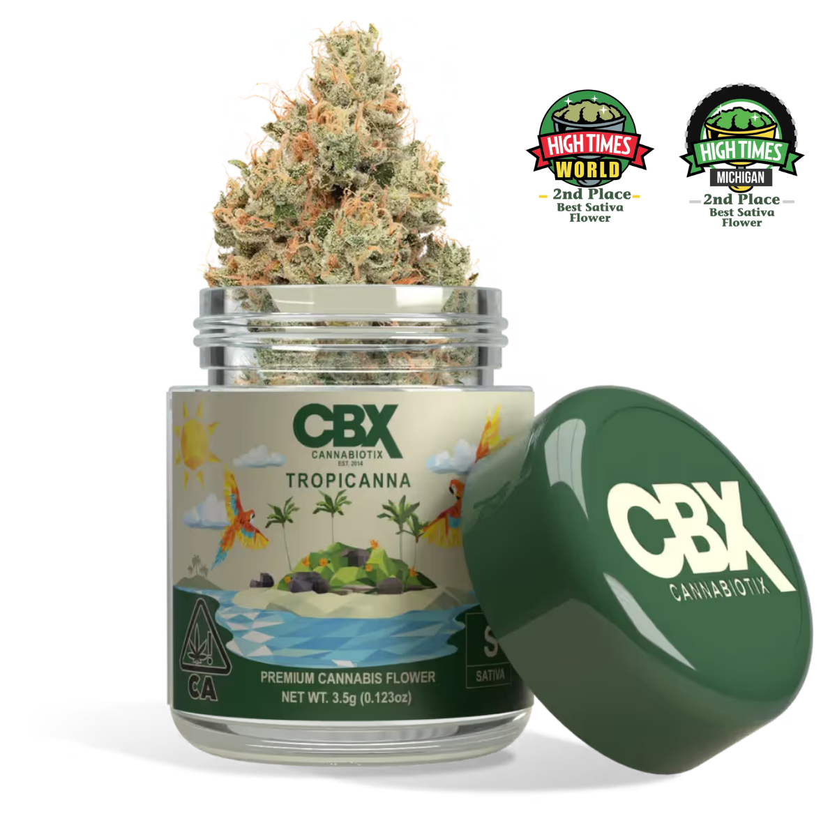 Tropicanna (S) | 3.5g Premium Indoor Flower | CBX