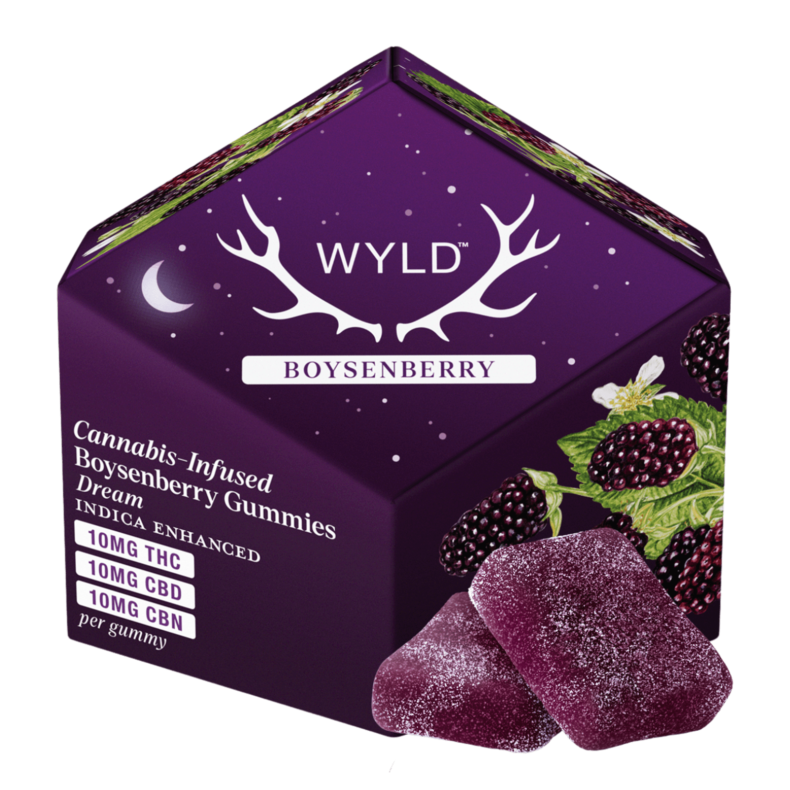 Boysenberry (I) | 10mg THC:10mg CBD:10mg CBN 10Pk Gummies | Wyld