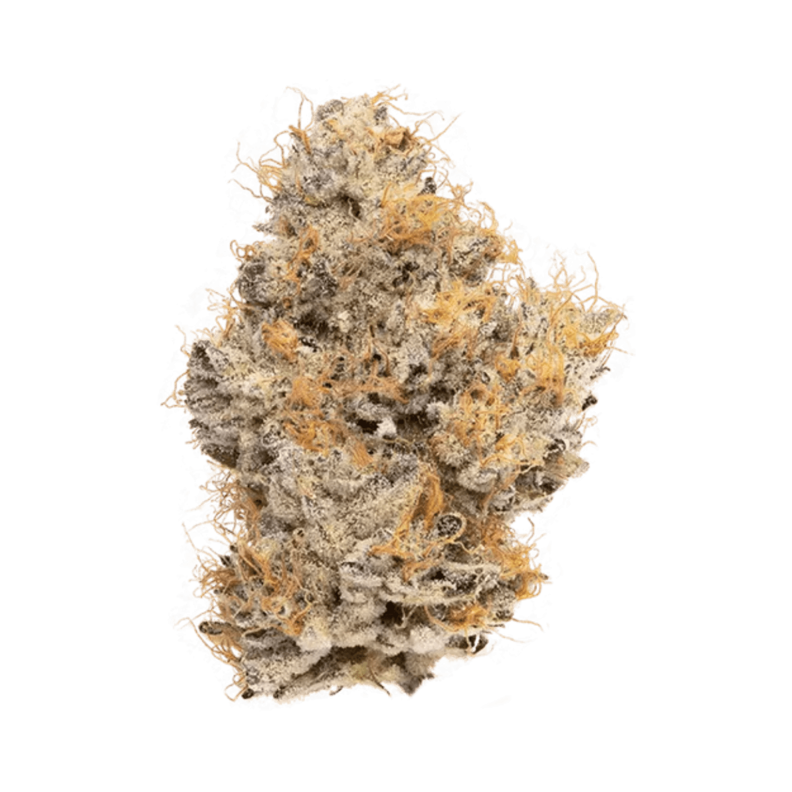 Wedding Cake (H) |  3.5g Premium Indoor Flower | CBX - view 2