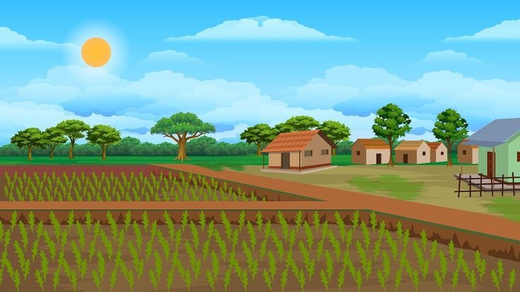Sunny Rural Village and Green Farm Field 2D Cartoon Background