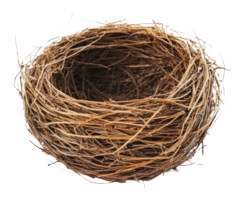 Empty Bird Nest Woven with Twigs Transparent PNG Prop