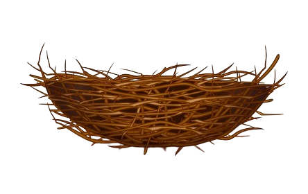 Woven Bird Nest with Green Leaves 2D Cartoon Vector Prop