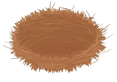 Flat Vector Empty Bird Nest 2D Cartoon Transparent Prop