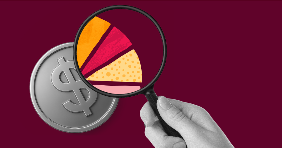 and holding a magnifying glass over a pie chart and a dollar coin, representing financial analysis or budget review.
