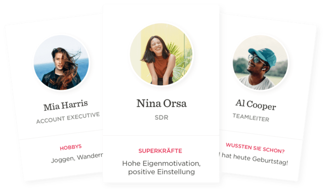 person profiles, team members with hobbies and superpowers