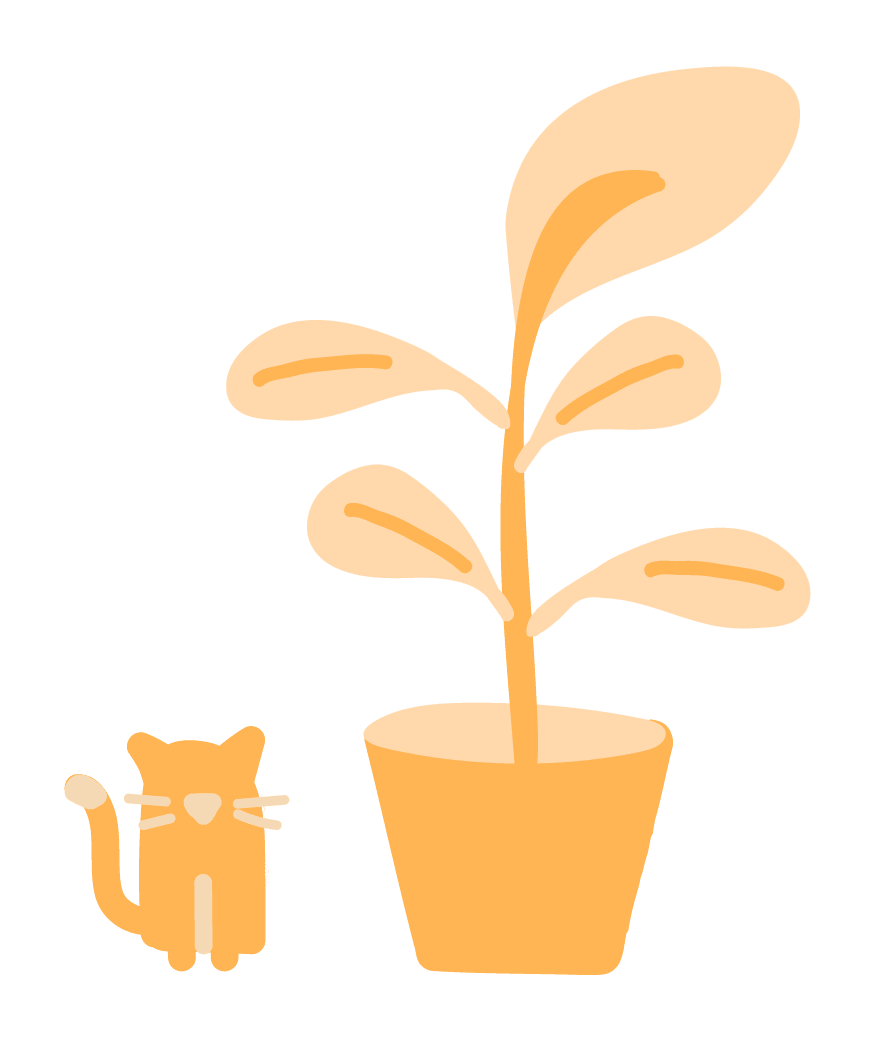 cat, plant