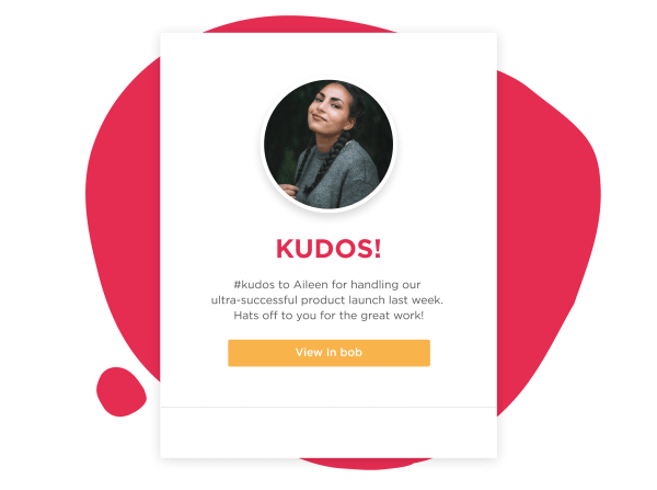 kudos, product_launch_success