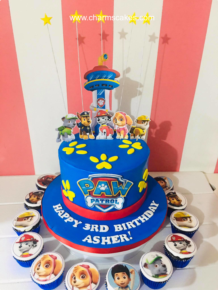 Asher's Paw Patrol Custom Cake